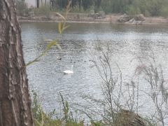 -鄂尔多斯野生动物园