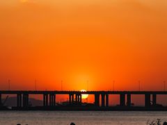 -宝安西湾红树林湿地公园