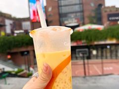 冰淇淋杨枝甘露-CoCo都可(砂之船奥莱店)