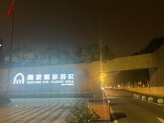 -南京眼步行桥