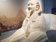 -上海博物馆(人民广场馆)