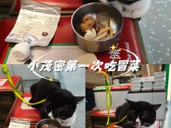 -成都你六姐·牛肉冒菜(城市集市合生汇店)