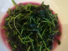 清炒苋菜-同庆楼(大钟寺店)