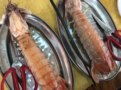 -蚝专家(北滘店)