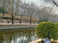 -元大都城垣遗址公园