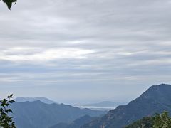 -大岭沟猕猴桃谷风景区