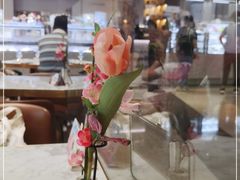 -哈根达斯(美罗城店)