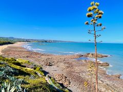 -漳州滨海火山岛自然生态风景区