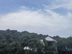 -杭州雅谷泉山庄酒店-餐厅