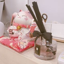 -Yukina Plus专业日式美肌