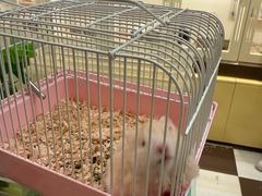 -龙猫仔乐园(惠福东路店)