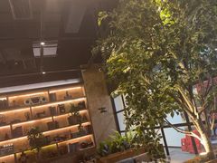-同仁四季椰子鸡(海岸城天利店)