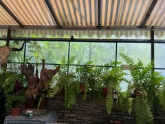 -野蔓果·山野菜(西湖景区·龙井茶田店)