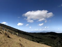 -大姆山草场
