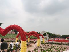 -松山湖梦幻百花洲