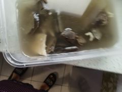 -正宗忘不了老鹅(梅岭店)
