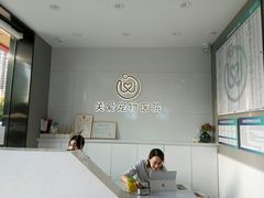-关爱宠物医院·猫科中心·消化科(滨湖万达分院)