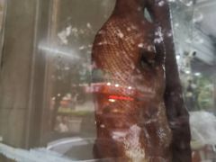 -乌文新澄海卤鹅店