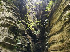 -梭布垭石林景区