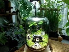 -爆爆手作·掐丝珐琅·Tufting·捏捏乐DIY团建集合店(朝阳店)