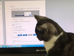 -喜多萌中农锦绣动物医院24H·猫科·牙科MRI·CT