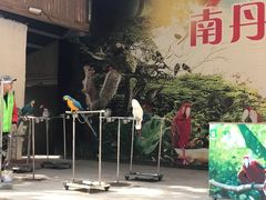 -南丹山森林王国