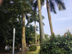 -深圳湾公园(南山区)