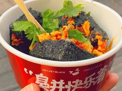 -黑色经典臭豆腐·湖南特产(步行街店)