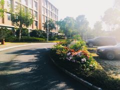 -厦门国家会计学院