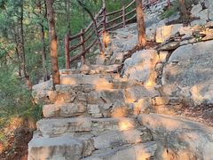 -佛慧山