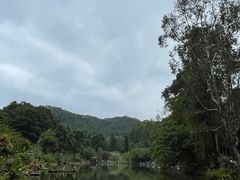 -深圳仙湖植物园
