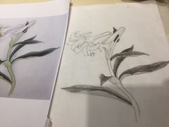 作品-谷隆画舍·国画书法素描彩铅水彩