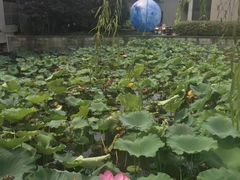 -绍兴鉴湖君澜大酒店