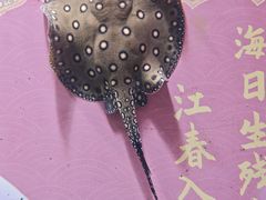 -烟台海昌鲸鲨海洋公园