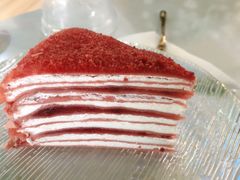 红丝绒千层-Husky Go! 哈士奇体验馆·宠物咖啡厅狗咖