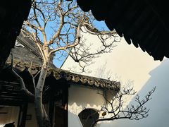 -上海醉白池公园