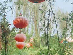 -同銮特种养殖场·龙虾垂钓