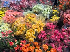 -循礼门鲜花花市(武汉循礼门店)