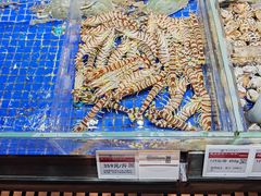 -高佳庄·舟山海鲜(海景旗舰店)