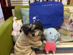 -武汉境自在書店