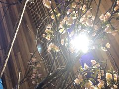 -渔太泰漓江小馆·广西融合菜(西街店)