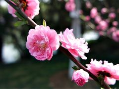 -圩墩遗址公园