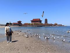 -宾朋海鲜饭庄(兴海路店)