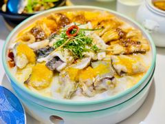 -巡味顺德菜(欢乐海岸购物中心店)