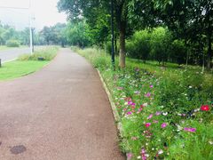 -艾溪湖湿地公园