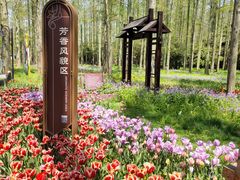 -东平国家森林公园