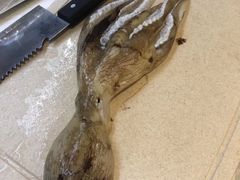 -鸿港海鲜批发市场