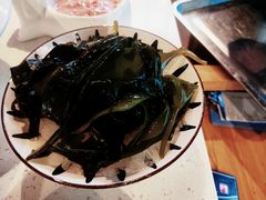 -五星桥原切肥牛火锅(怀德桥店)