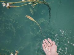 -丽江泸沽湖景区