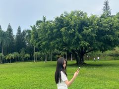 -三水森林公园